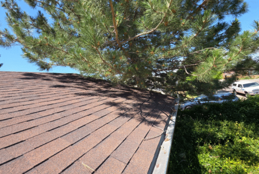 Gutter & Drainage System Checks