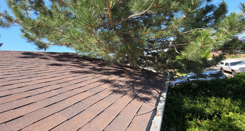 Gutter & Drainage System Checks, Damage Roof Repair