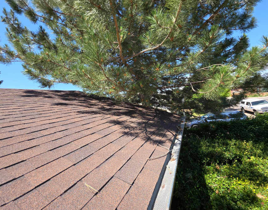 Gutter & Drainage System Checks