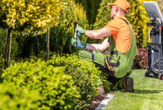 Lawn Care & Exterior Upkeep