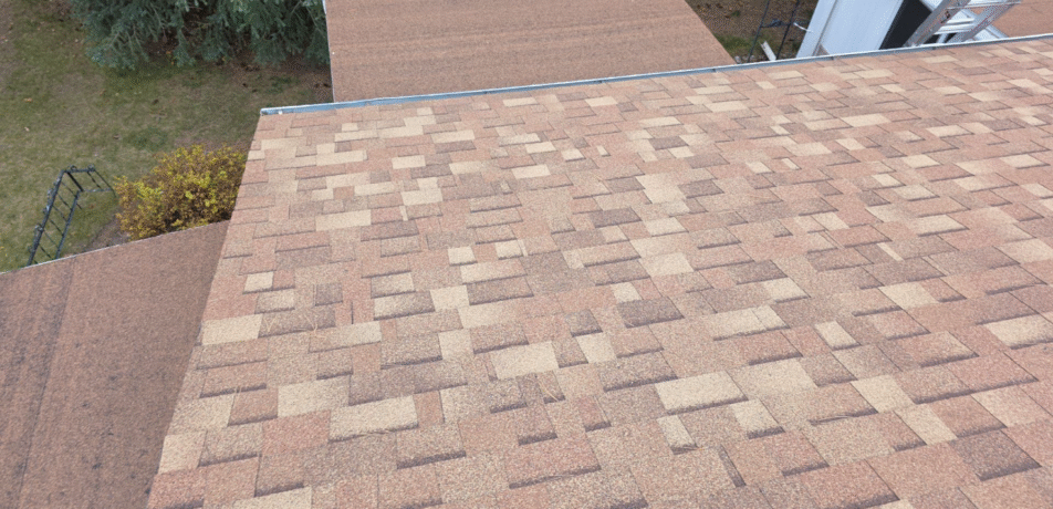 Why Routine Roof Care Is Essential for Homeowners in Dallas, TX
