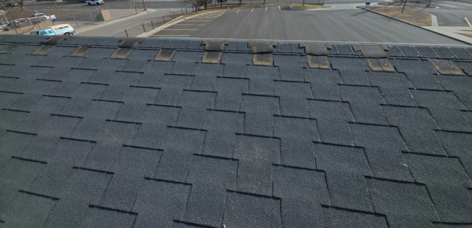 Roof Construction for Government Buildings in Dallas, TX: Standards, Materials, and Best Practices